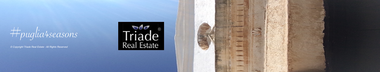 Triade Real Estate